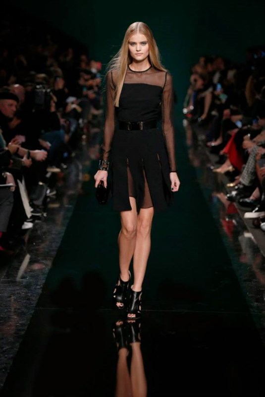 Elie Saab Autumn Winter 2014 2015 Fashion Show